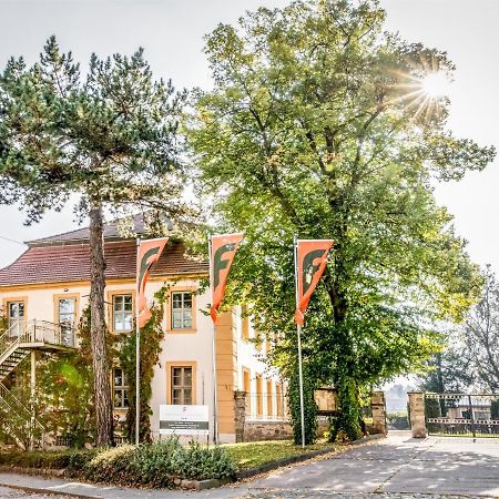 Stadtschloss Hecklingen*** Hecklingen  Kültér fotó