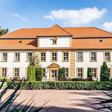 Stadtschloss Hecklingen*** Hecklingen  Kültér fotó